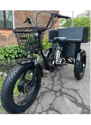 Электровелосипед Fat Trike T LUX с задним сиденьем фото